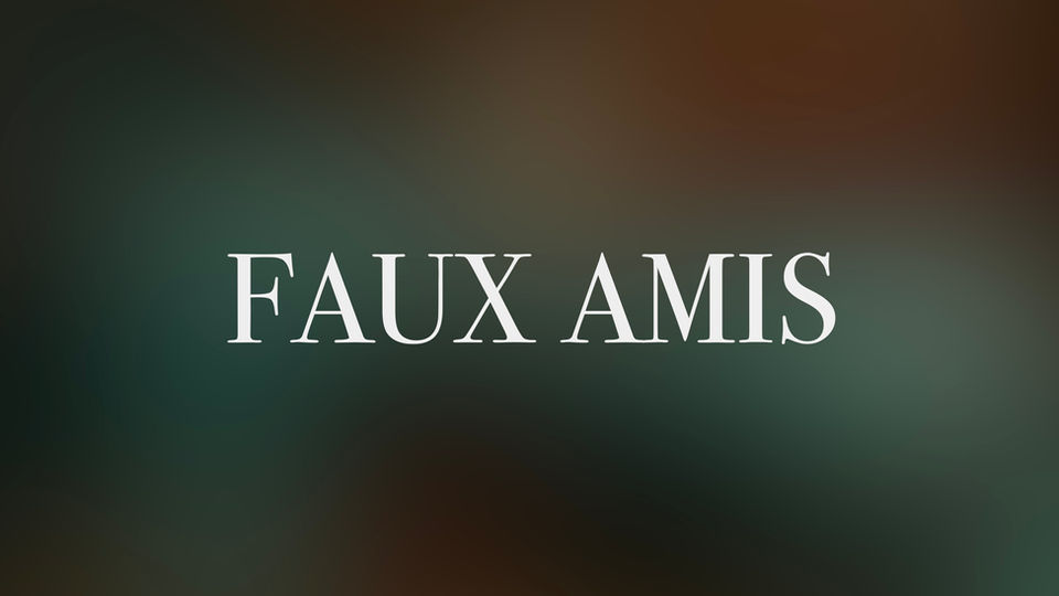 Faux Amis Teaser